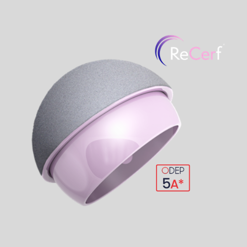 Recerf web home page (1)