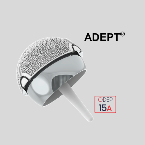 adept web home page (1)
